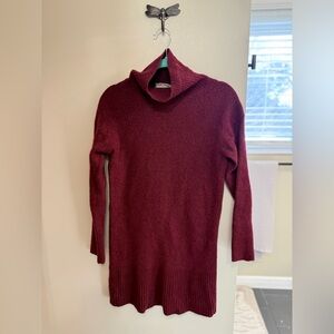 Everlane Deep Red/Maroon Turtleneck Sweater